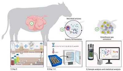 Influence of Azadirachta indica and Cnidoscolus angustidens aqueous extract on cattle ruminal gas production and degradability in vitro